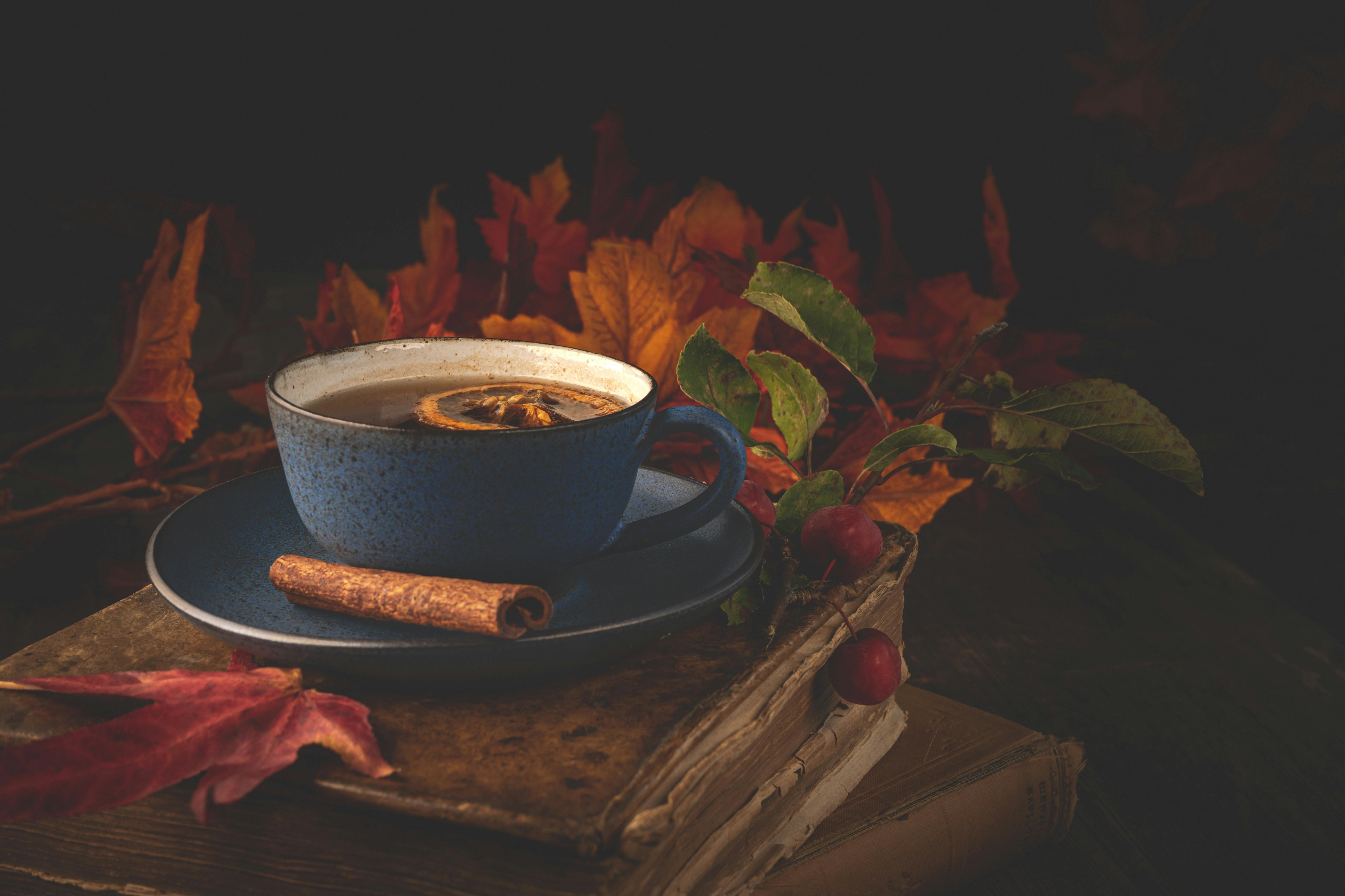 Seasonal Spice Mocha